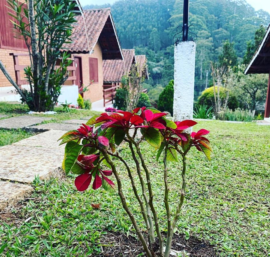 Chales Encantus Villa Monte Verde  Exterior photo